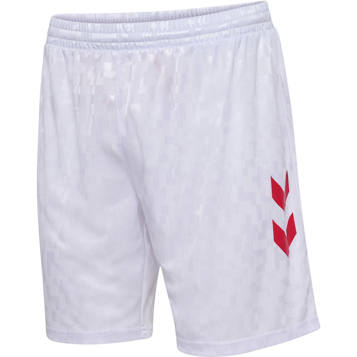 Danmark Hjemmebane Landsholdsshorts 24/25