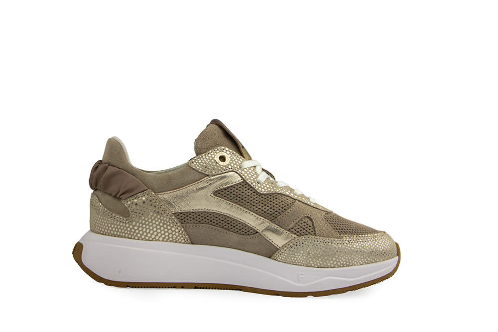 Floris van Bommel Suvi 04.03 Gold