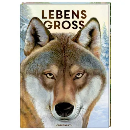 Coppenrath Verlag Nature Zoom Lebensgroß - Tiere des Waldes