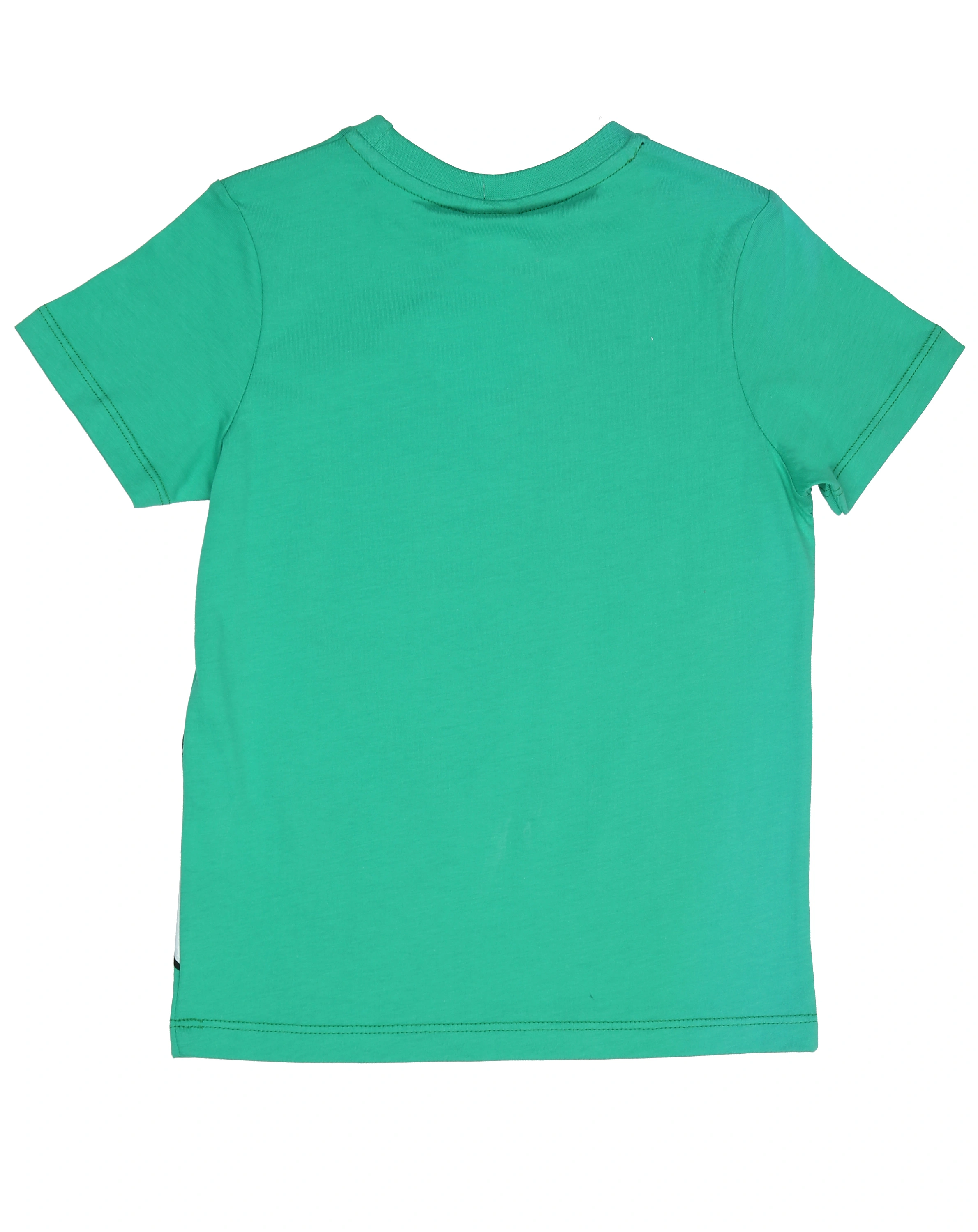 T-Shirt PAW PATROL - MARSHALL in blarney green