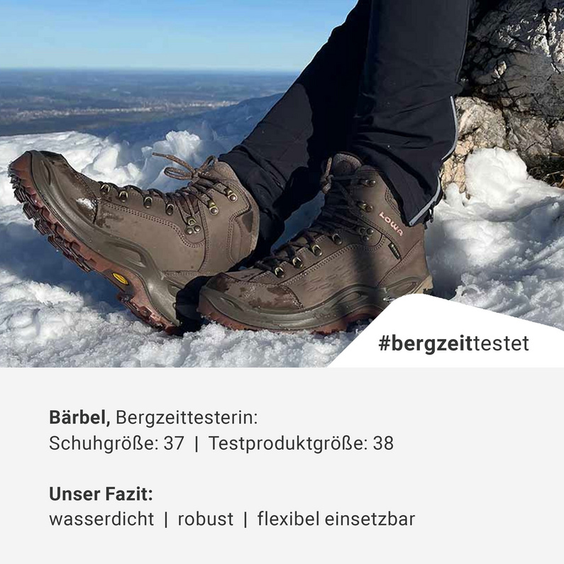 Lowa Herren Renegade Warm GTX Mid Schuhe