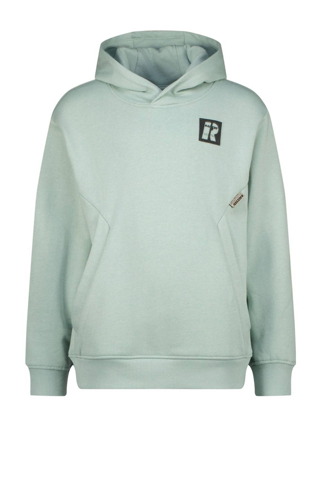 Raizzed hoodie grijs