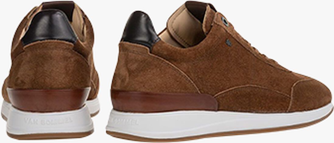 VAN BOMMEL cognac van bommel lage sneakers sbm-10015