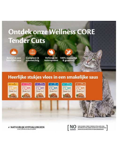 Wellness Core Tender Cuts 85 g - Kattenvoer