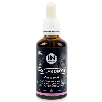 In-Fluence No Fear Tropfen gegen Angst 50ml