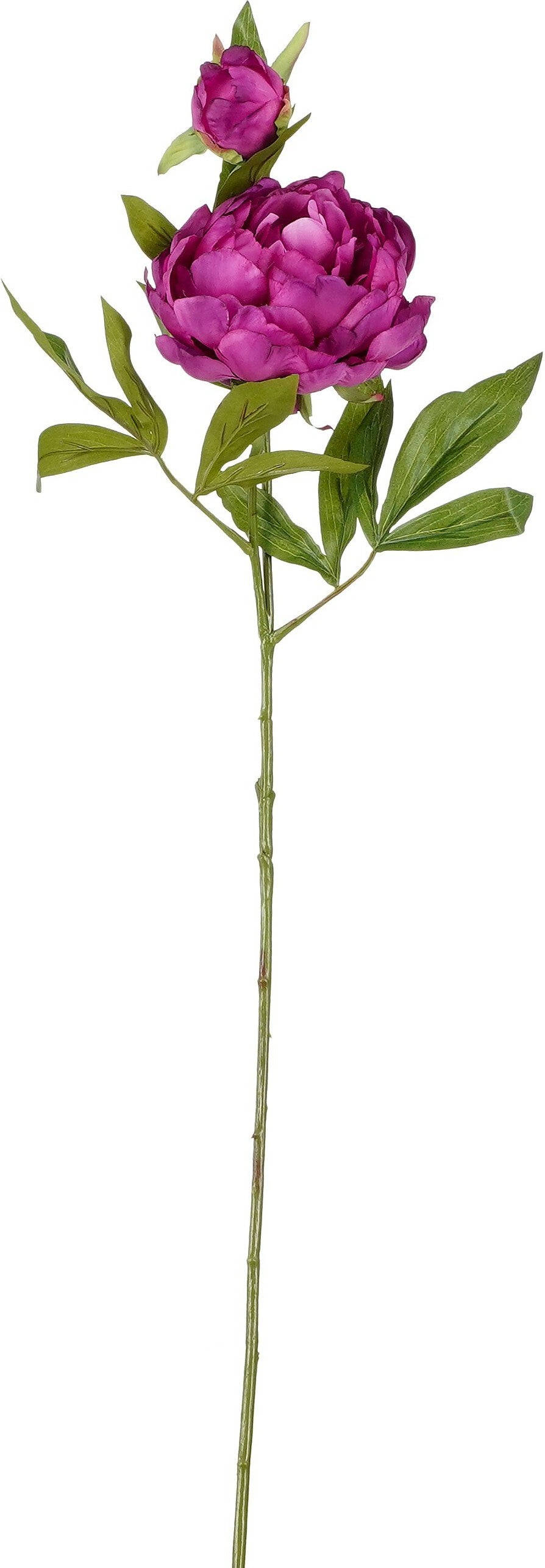 Mica Decorations kunstbloem Pioen paars L 71 cm