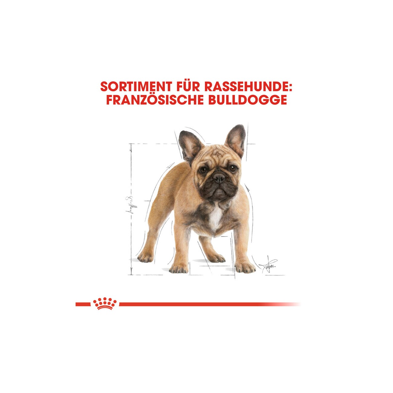 ROYAL CANIN Französische Bulldogge Adult 1,5 kg
