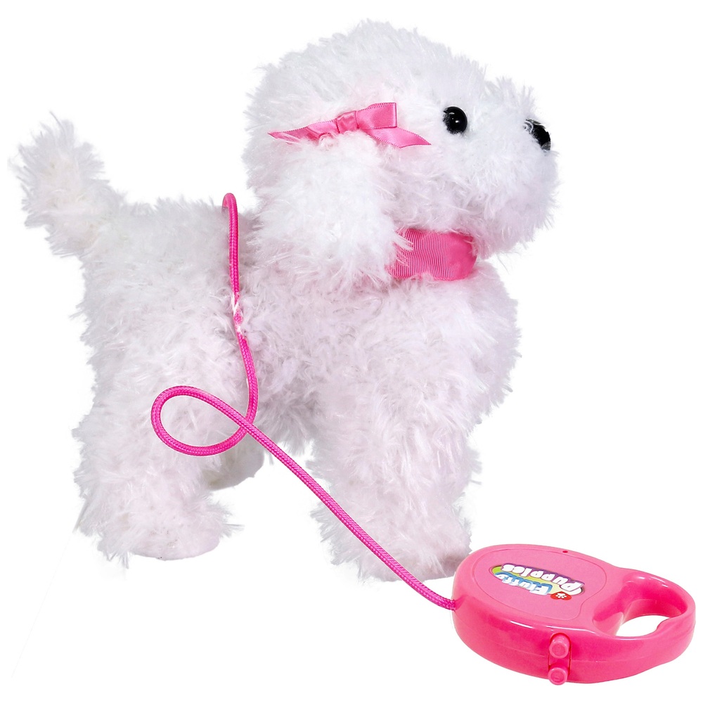 Flauschige Welpen, die mit dem Pudel spazieren gehen