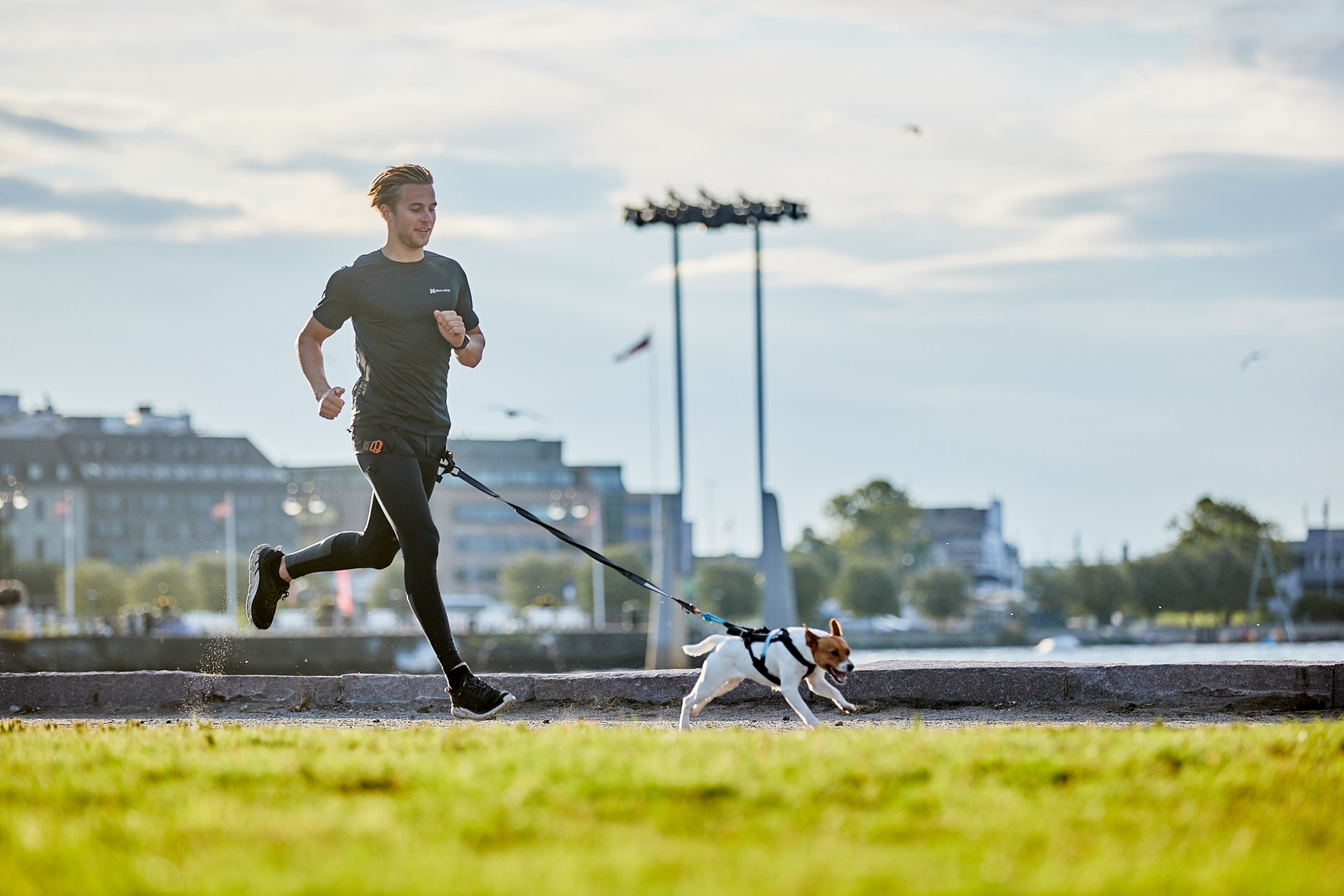 Kjøp Non-Stop Dogwear Touring Bungee Leash fra Hekta på tur!