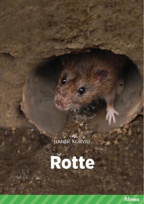 Rotte, Grøn Fagklub - Hanne Korvig - Bog
