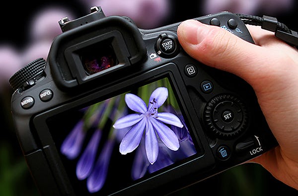 Fotokurs Online