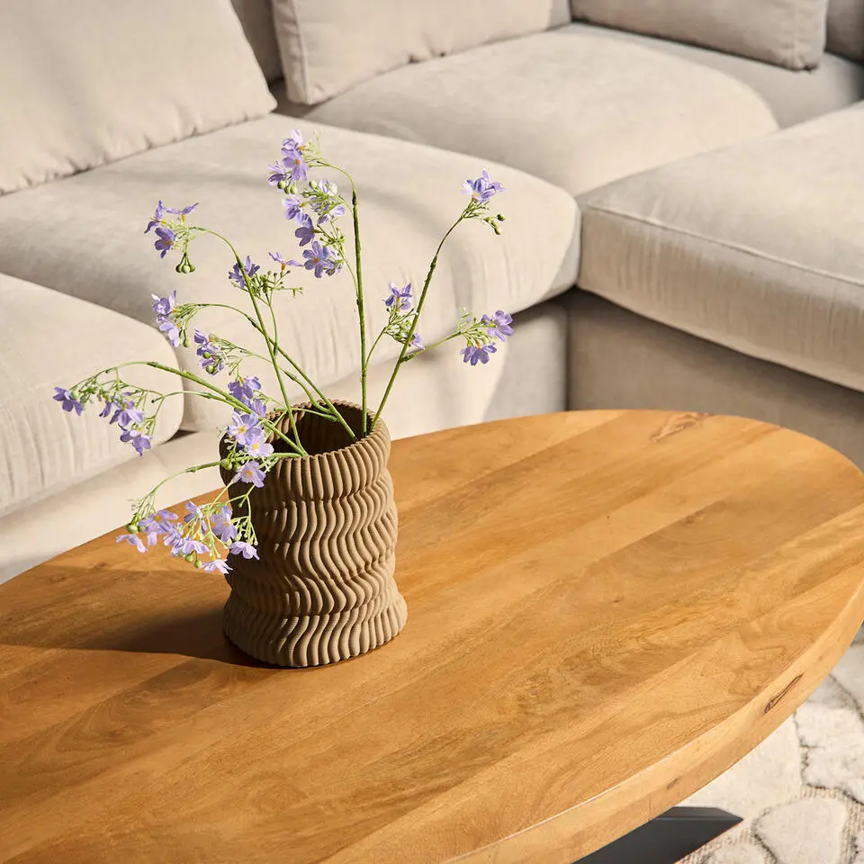 Salontafel Ovaal Naturel Hout - 130x70x46cm - Denver