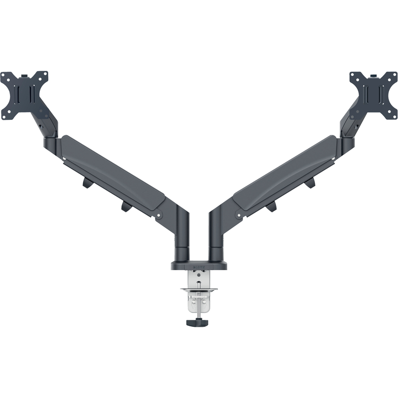 Leitz Ergo Monitorarm Dual, dunkelgrau