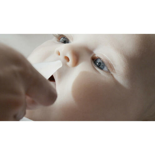 Mouche-bébé R'Evolution - LITTLE BAND