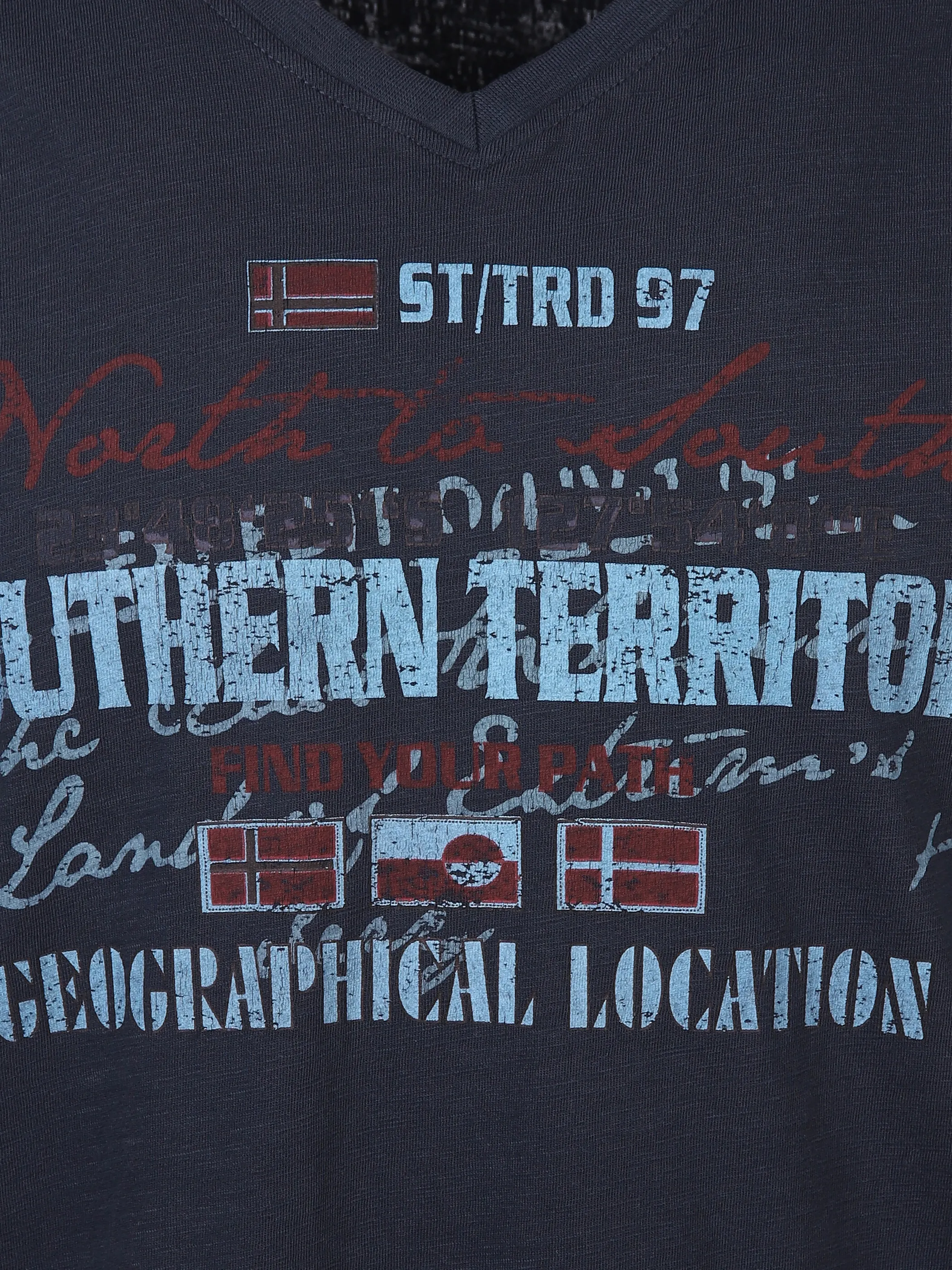 Herren Shirt mit Frontprint