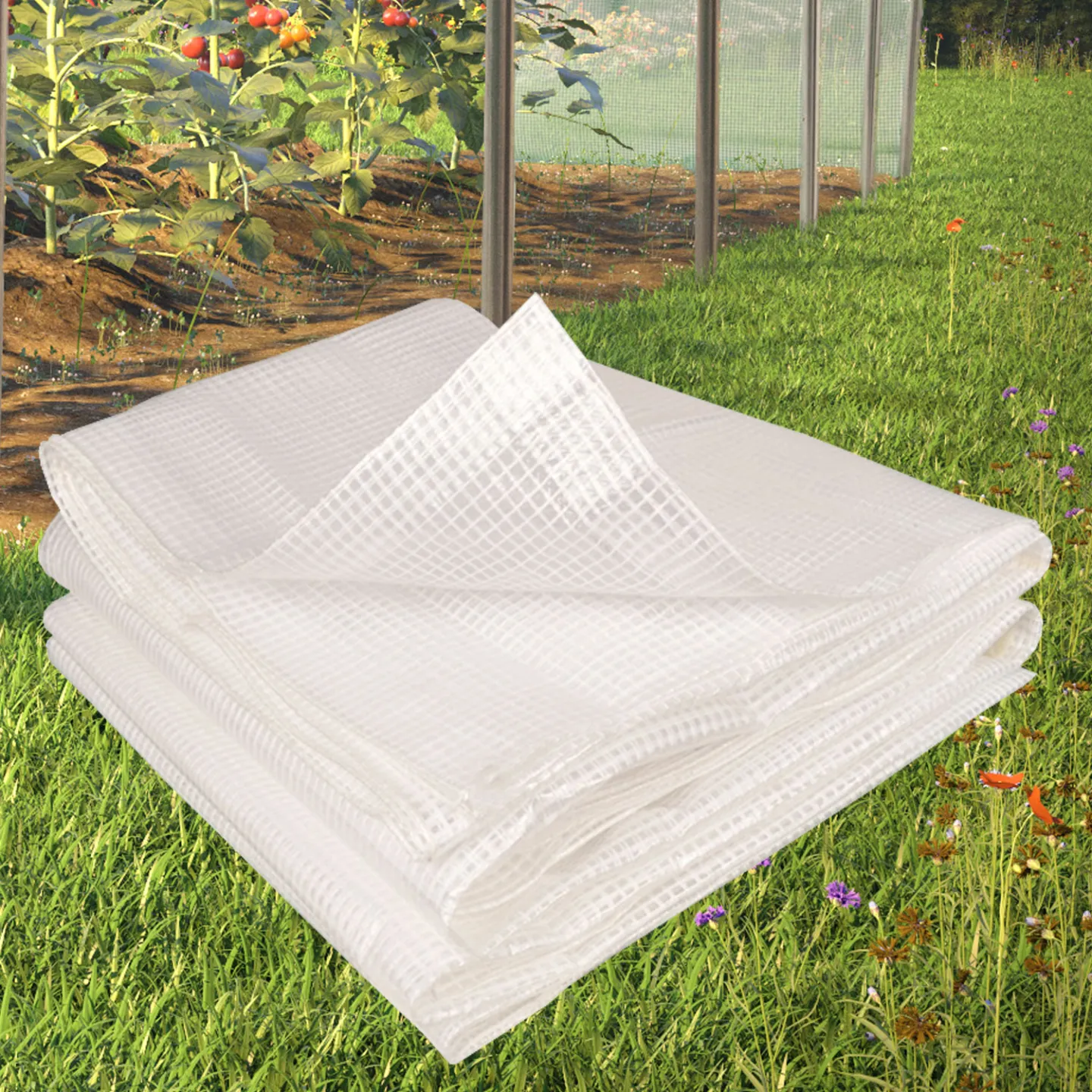 Bâche armée transparente 4x6 m renforcée