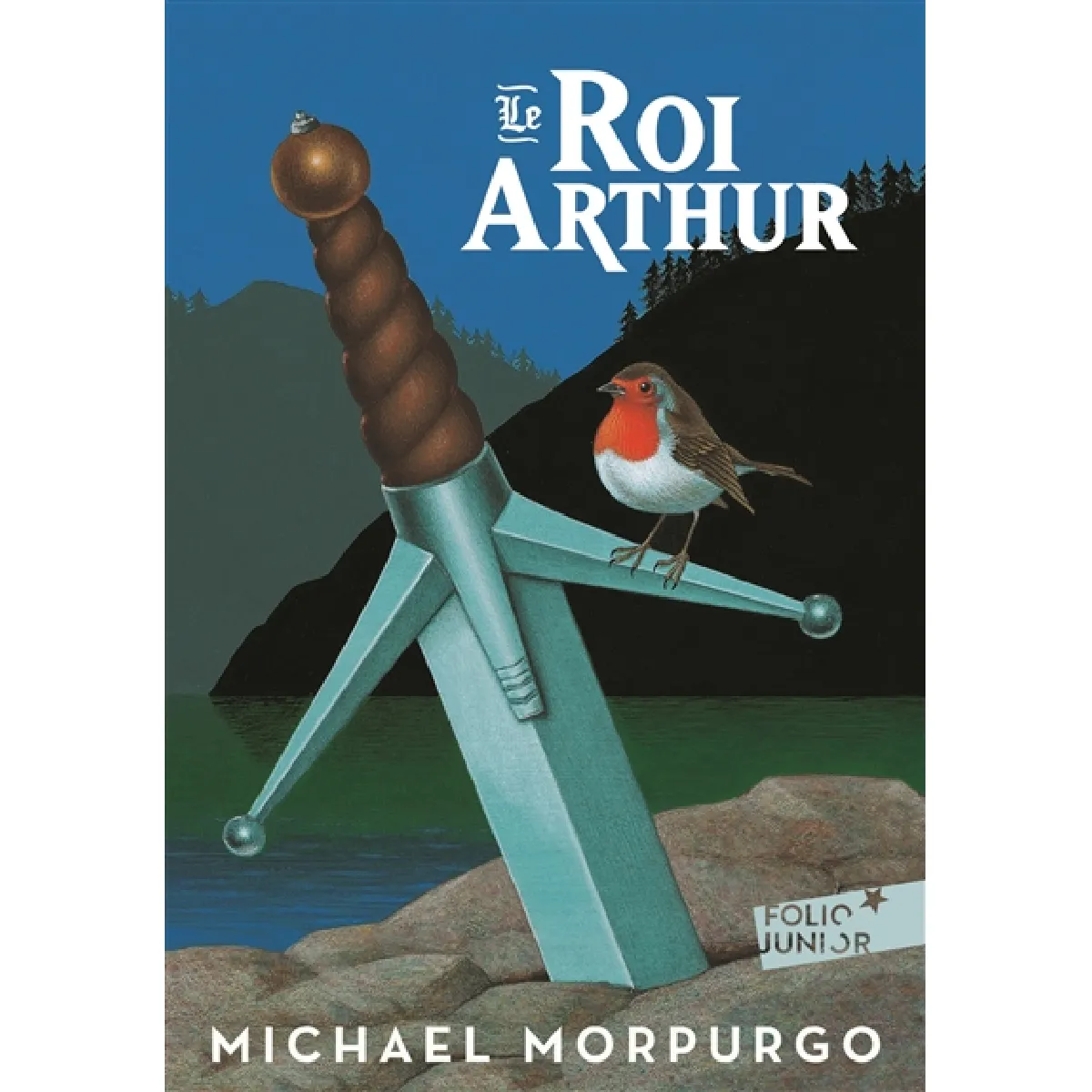 Le roi Arthur · Occasion