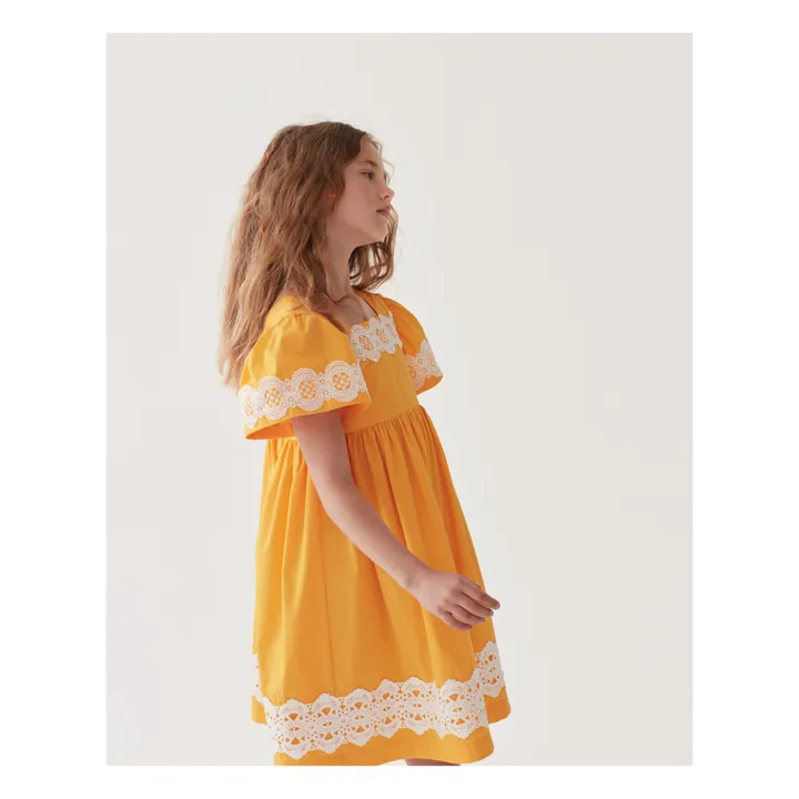 The Middle Daughter Robe Dentelle | Mangue