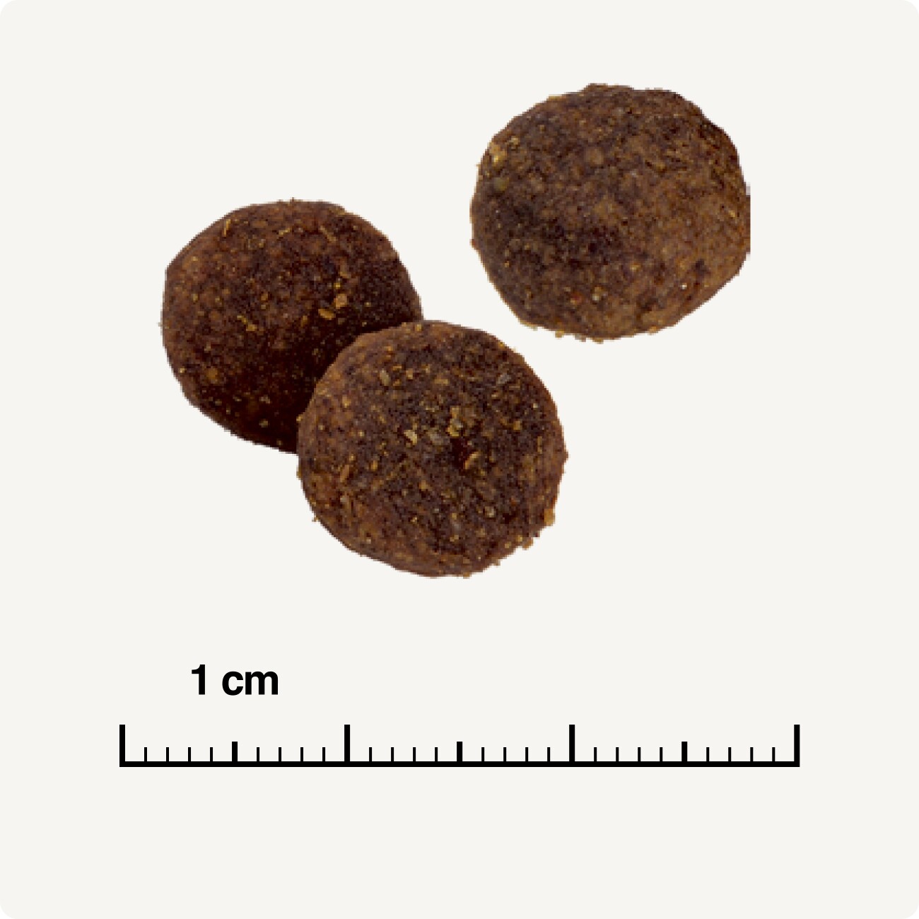 REAL NATURE Country Selection Trockenfutter Hund, Adult, Mini, Scandinavia 1 kg