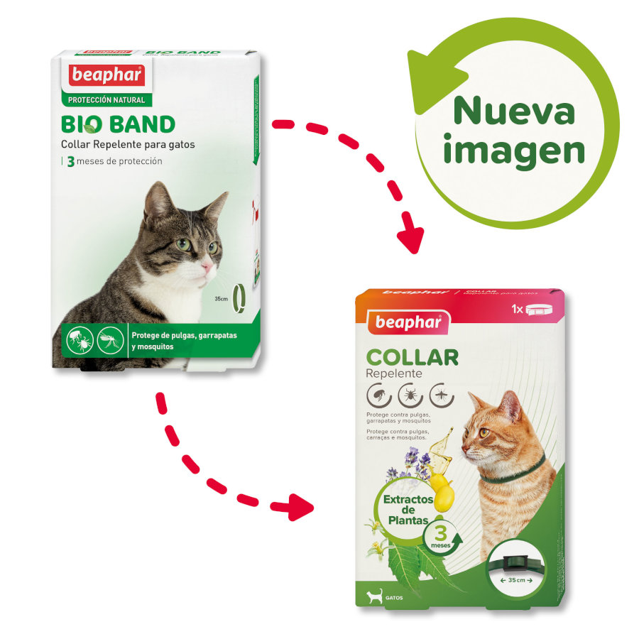 Coleira repelente para gatos Beaphar Bioband