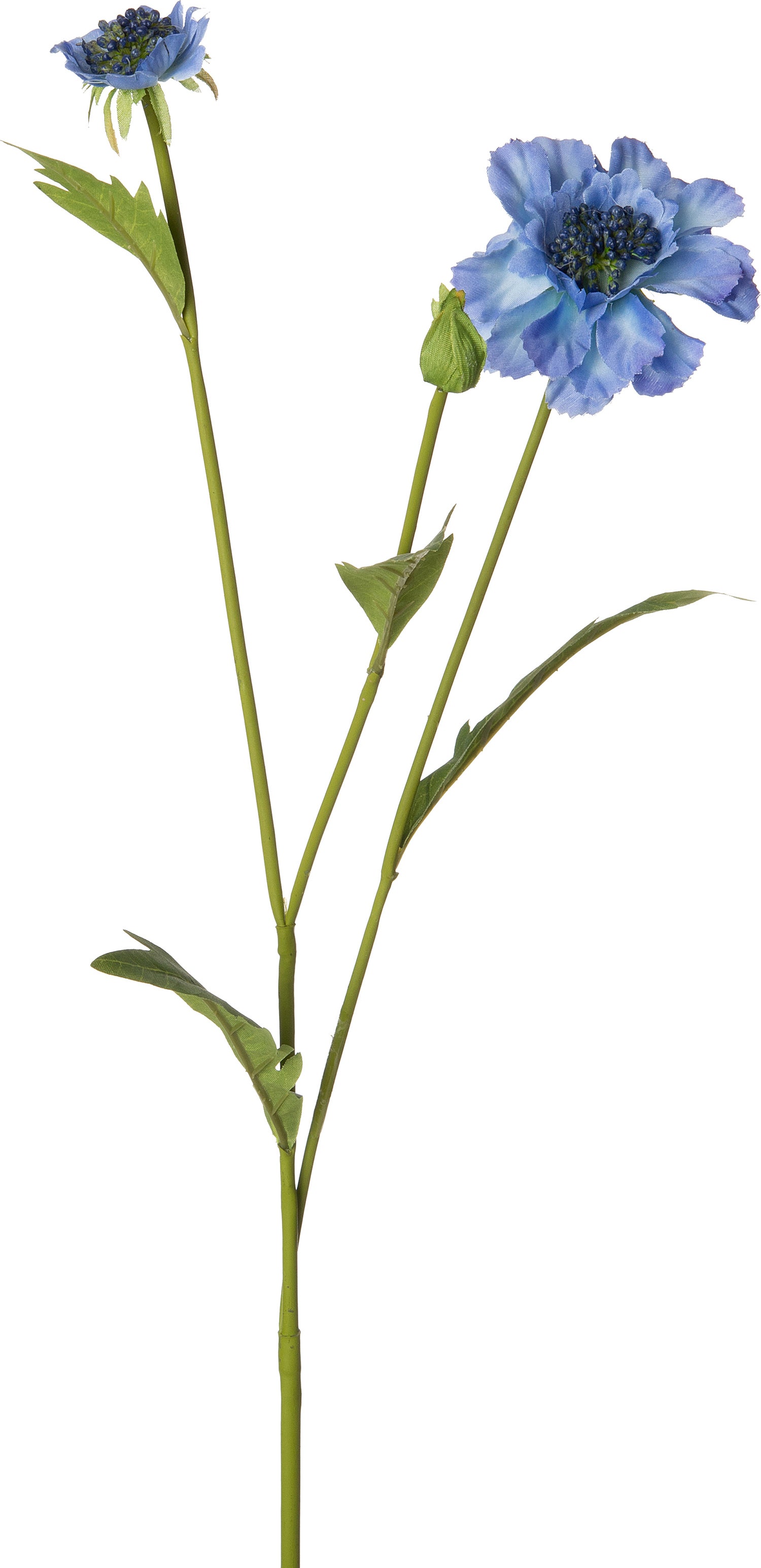 Intratuin kunstbloem Scabiosa blauw 57 cm