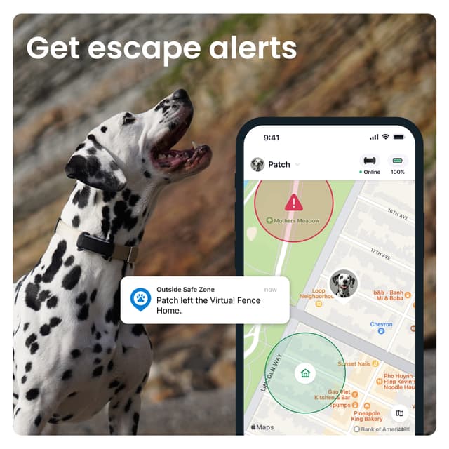 Tractive Dog 6 GPS-tracker (sort)