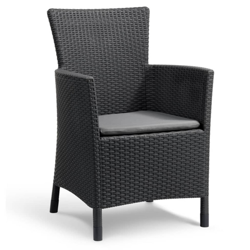 Chaise de salle à manger de jardin iowa graphite 215526