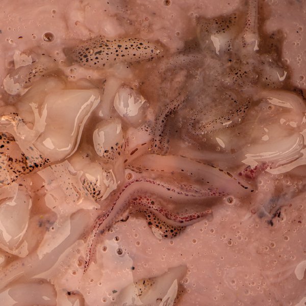 Graines Nash Salted Squid 500ml
