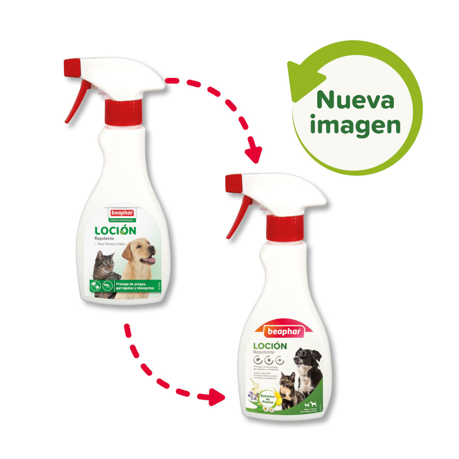 Loção repelente para cães e gatos Beaphar