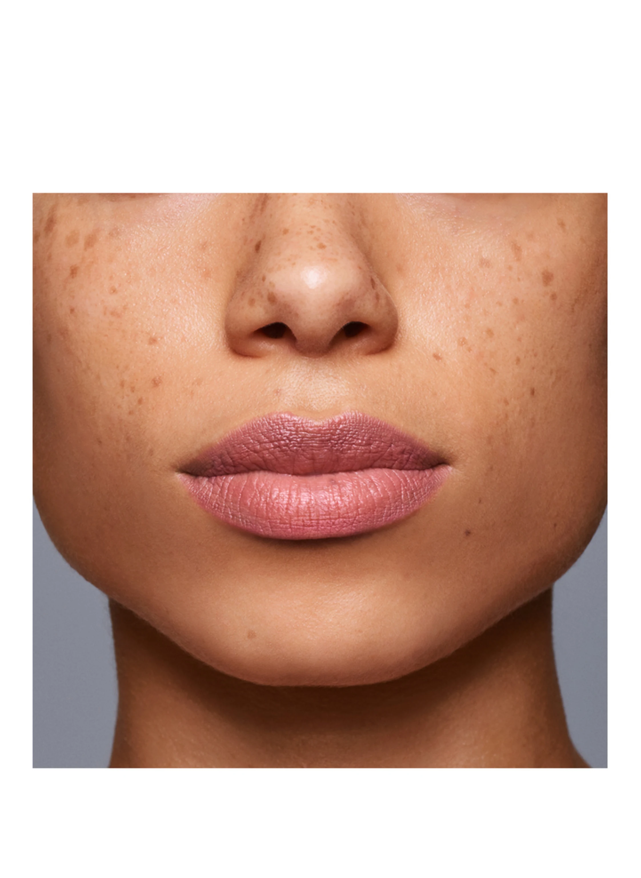 SHISEIDO LIPLINER INKDUO