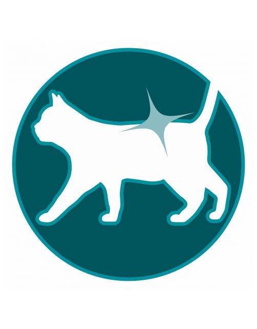 Purina One Adult Kip&Granen - Kattenvoer