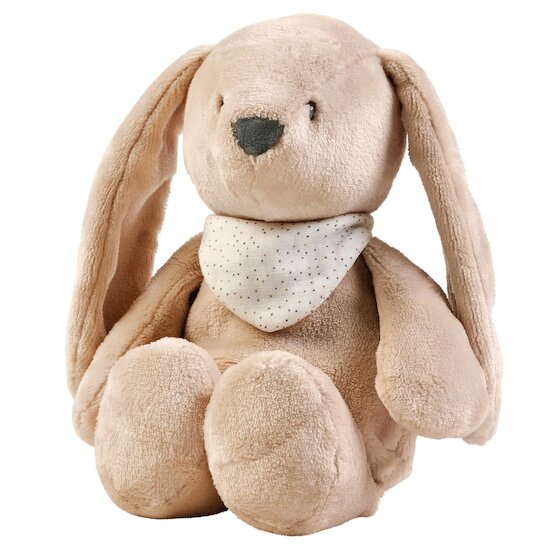 Veilleuse Peluche Lapin Sleepy   Beige        de               Nattou