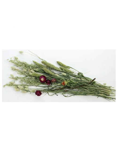 Esve Pet Bouquet Weidegewas - Knaagdiersnack - 100 g