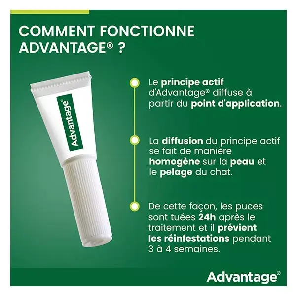 Advantage Solution Antipuce Chat Lapin +4kg 4 pipettes