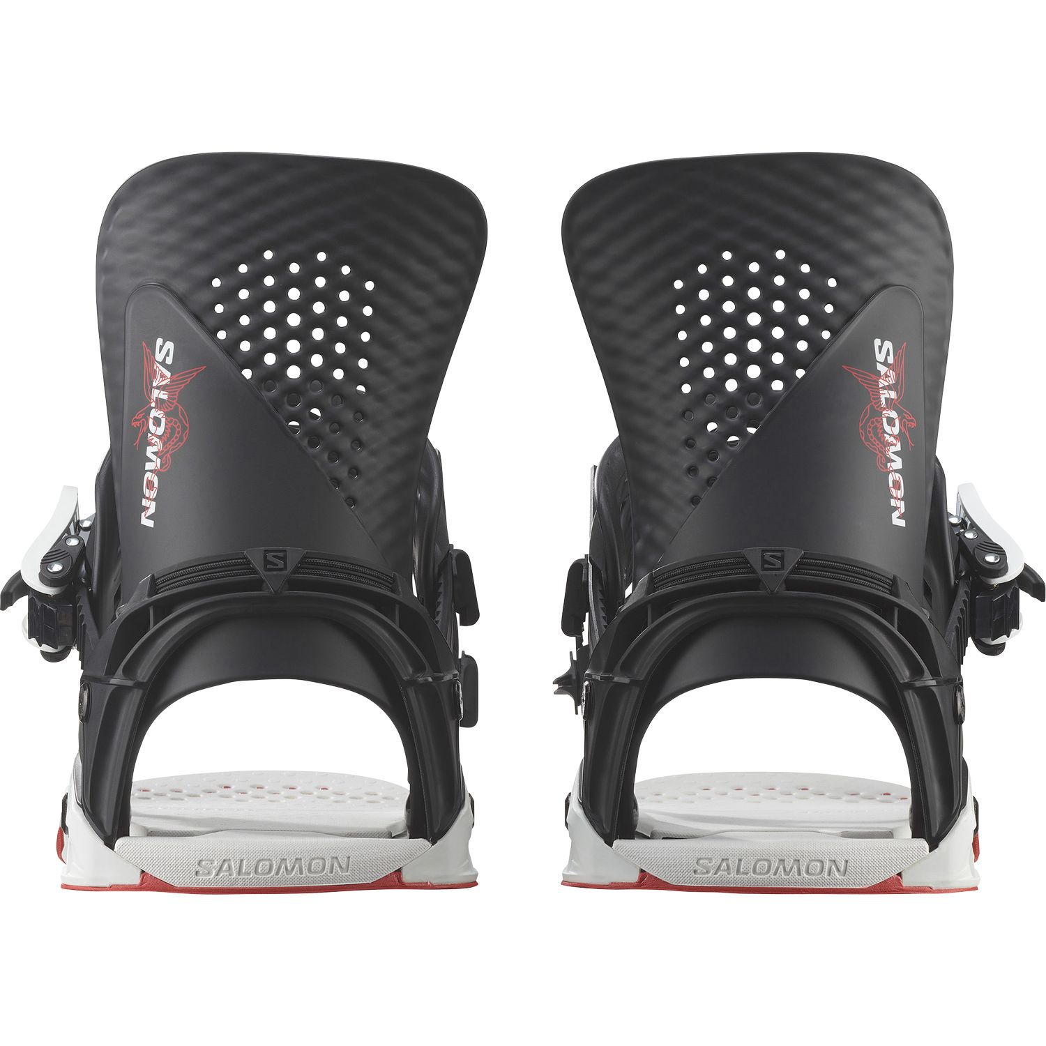 SalomonHOLOGRAM