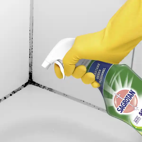 Schimmel Frei Spray