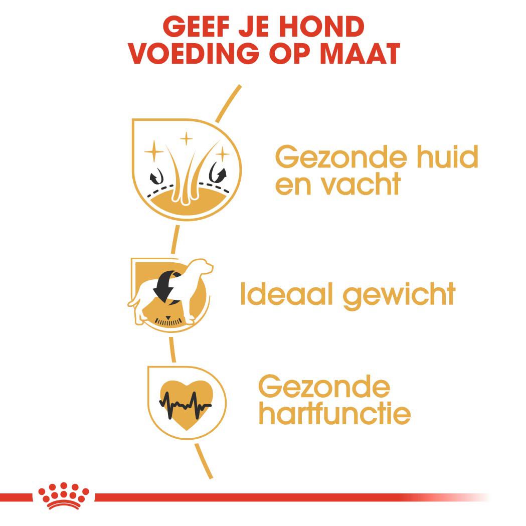 Royal Canin Cocker Spaniel Adult - Hondenvoer - 12 Kilogram - gevogelte