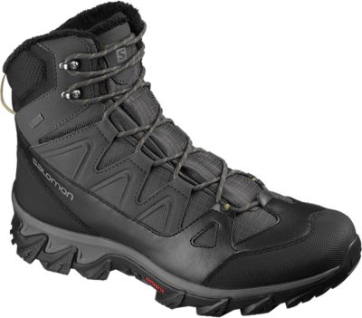 SalomonBreccia 2 GTX - grau