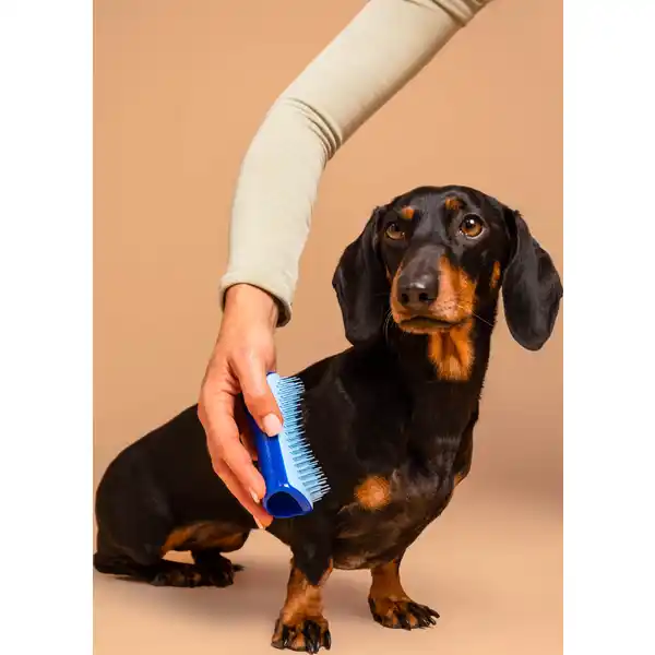 Pet Teezer, Enthaarbürste für kleine Hunderassen