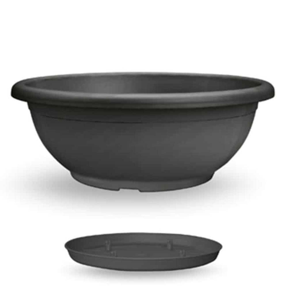Coupe de fleurs naxos 40cm avec soucoupe