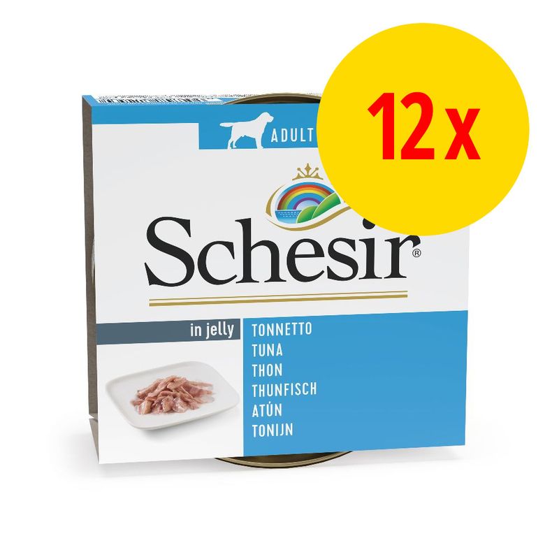 Lot Schesir 12 x 150 g - pas cher