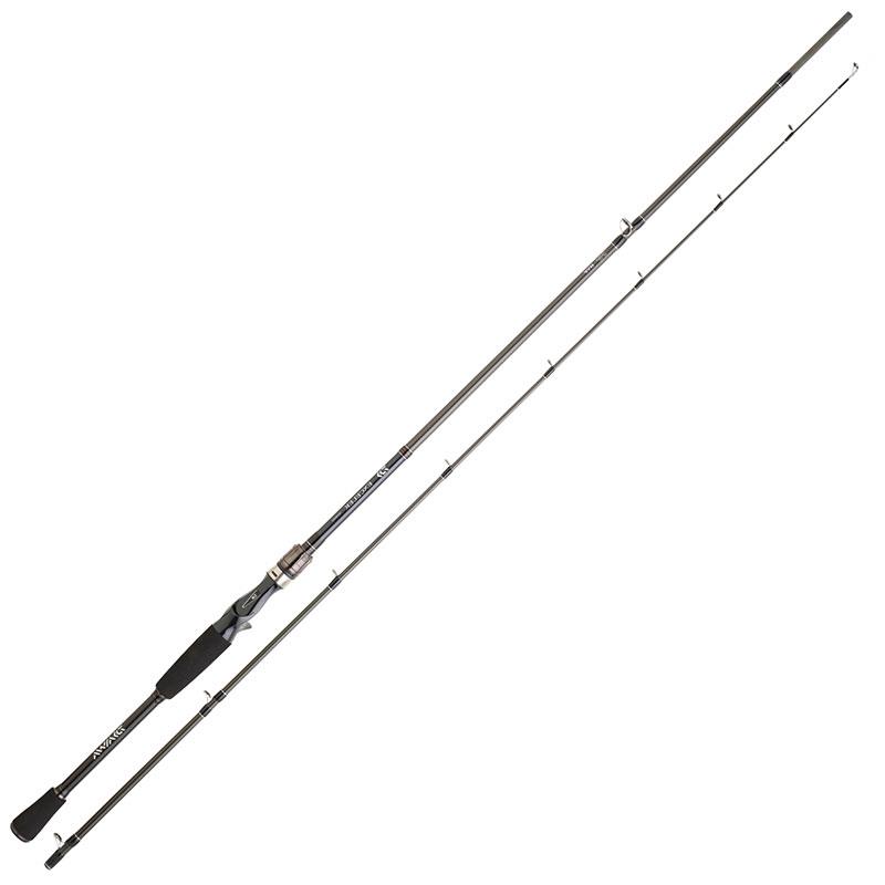Canne Casting Daiwa Exceler Casting
