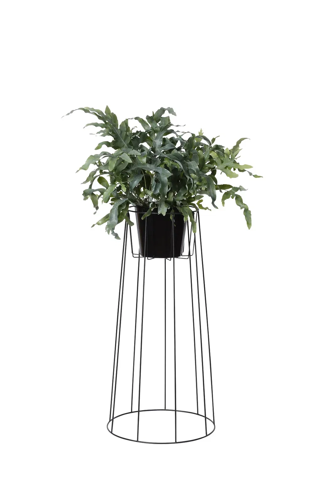 Pidestall Danny Høyde 55 cm