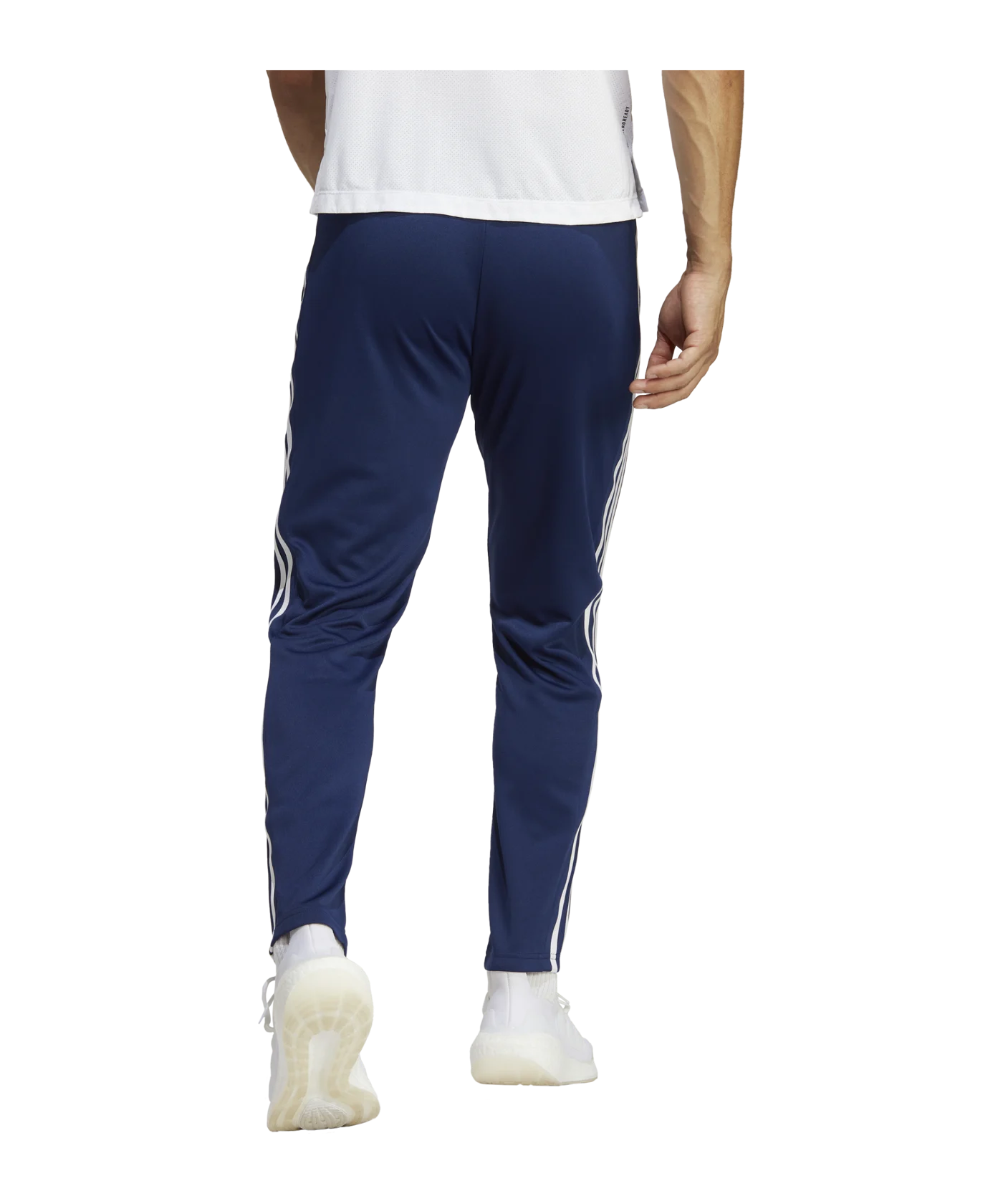 adidas Base 3-Stripes Trainingshose Blau Weiss