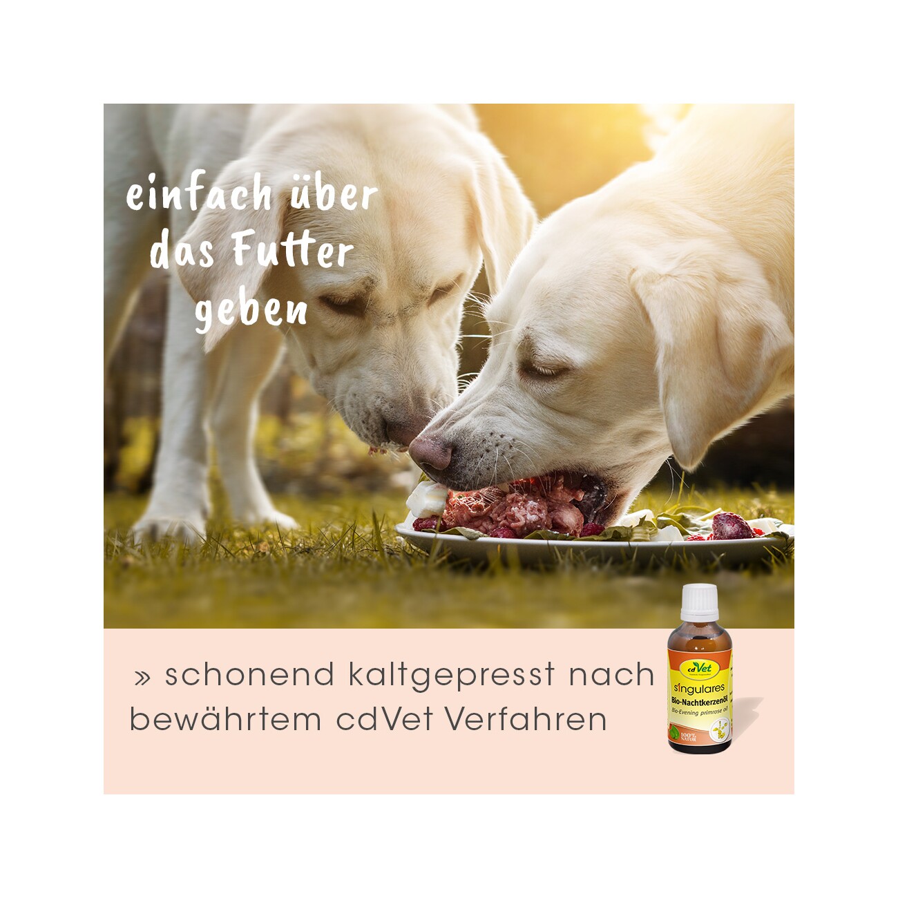 cdVet Singulares Bio-Nachtkerzenöl 50 ml