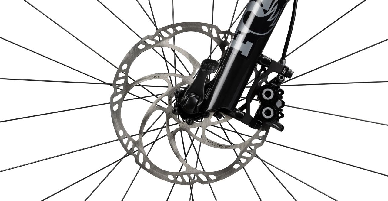 Radon Skeen Trail 10.0 HD kaufen | Bike-Discount