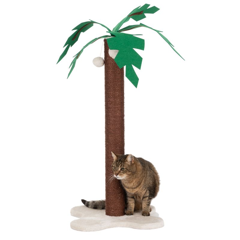 Tronc à griffer Cocotier