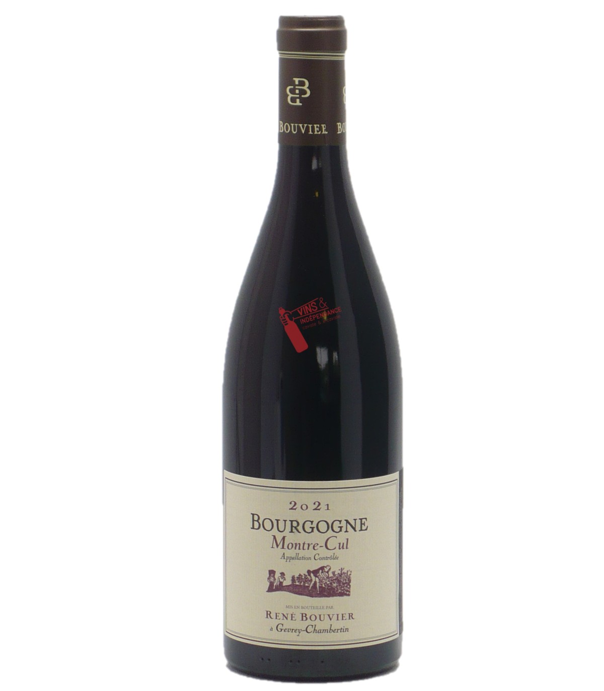 Domaine René Bouvier Bourgogne Montre Cul 2021