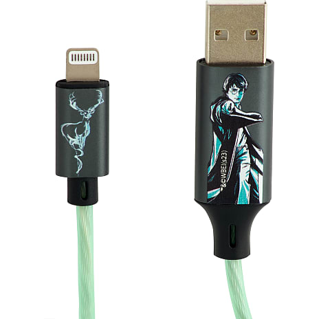 USB A-MFI stik 1,2 meter - Harry Potter