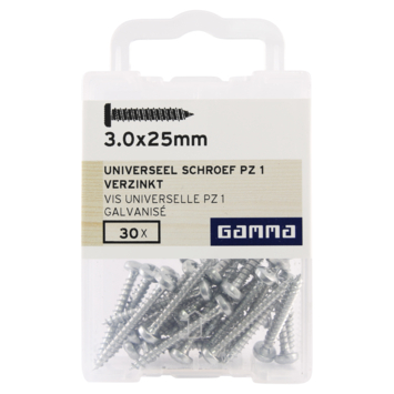 GAMMA schroef universeel cilinderkop pozi verzinkt 3.0x25 mm 30 stuks